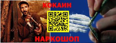 шишки Кандалакша