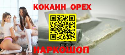 гашик Камышлов