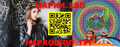 шишки Кандалакша