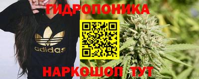 гашик Камышлов