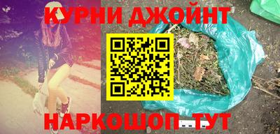 гашик Камышлов