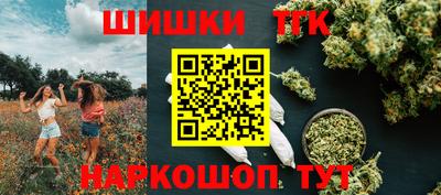 шишки Кандалакша