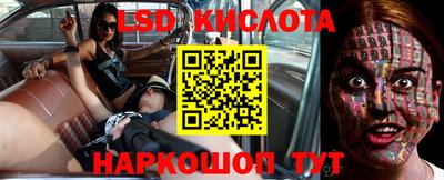 шишки Кандалакша