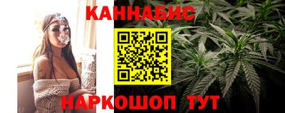 гашик Камышлов