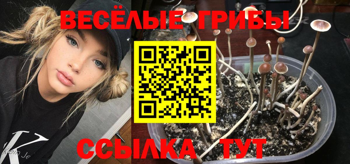 Галлюциногенные грибы мухоморы Магадан