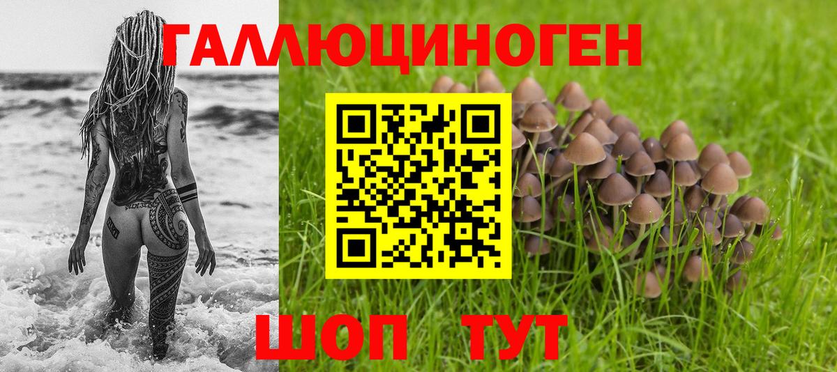 Псилоцибиновые грибы Magic Shrooms  Вход с VPN  Галлюциногенные грибы мицелий  даркнет сайт  Магадан 